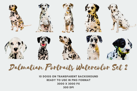 10 Dalmatian Portraits Watercolor Set 2: A Versatile Digital Asset for Creative Projects