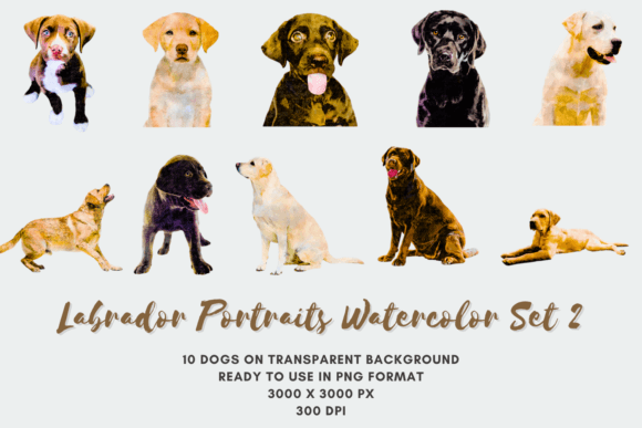 10 Labrador Portraits Watercolor Set 2