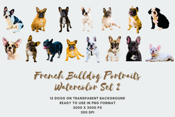 15 French Bulldog Portraits Watercolor
