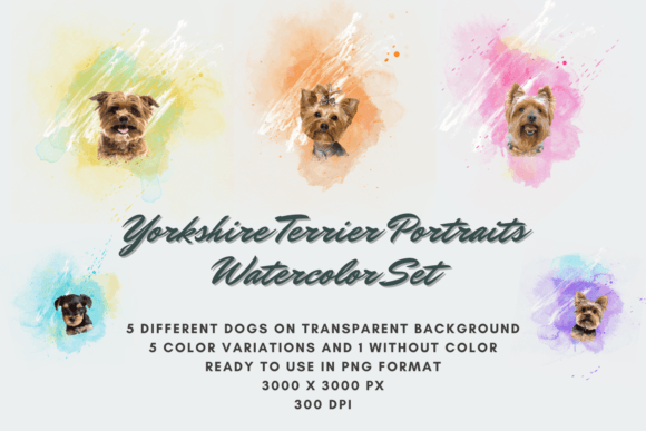 30 Yorkshire Terrier Portrait Watercolor: A Versatile Digital Asset for Creative Projects