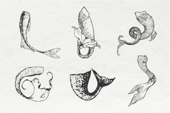 Mermaid Tail Vintage Illustration Vector